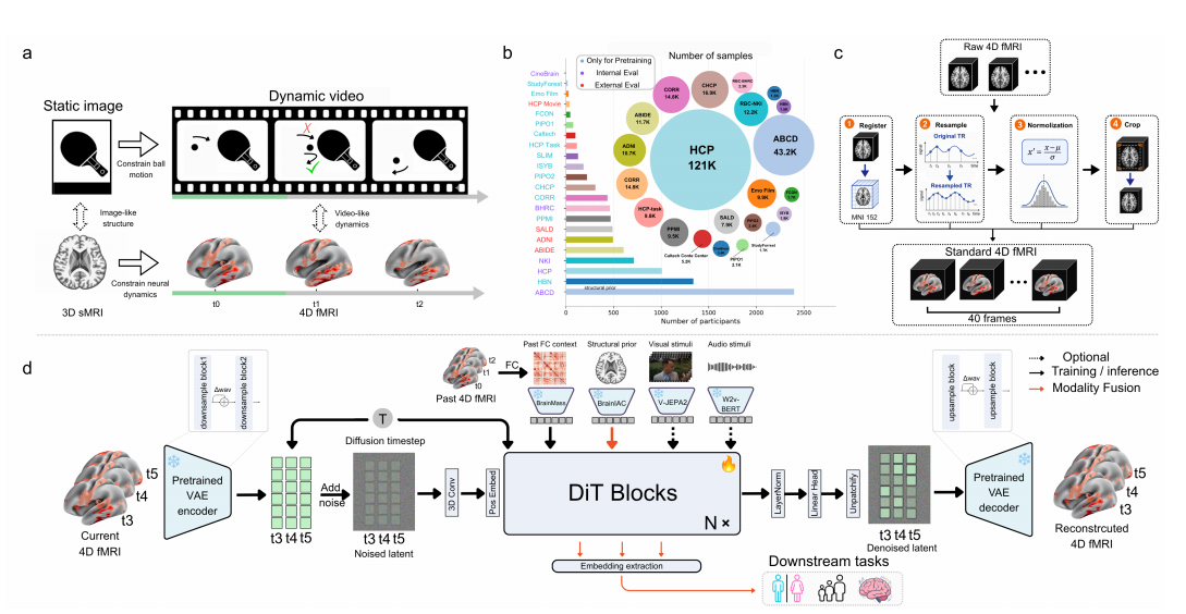 BrainWorld framework for whole-brain fMRI generation