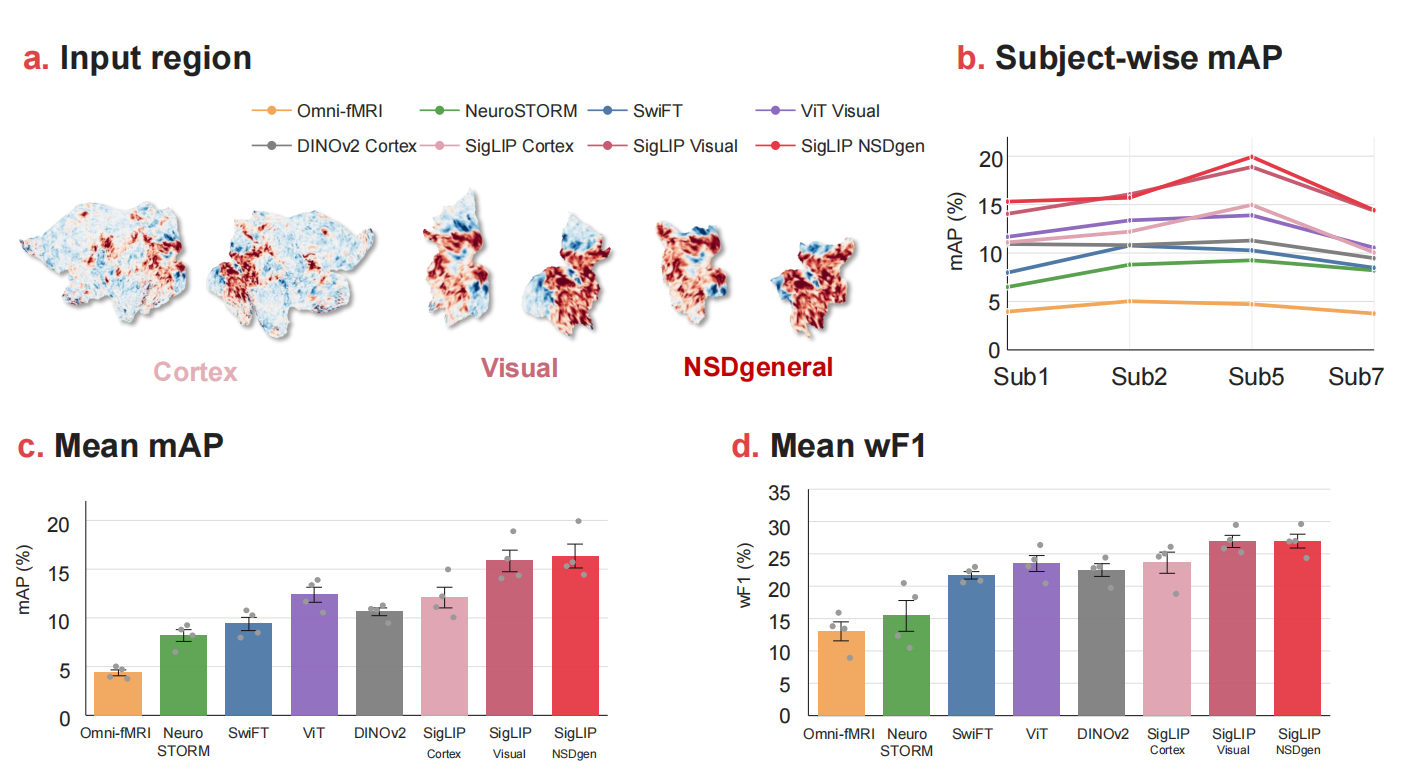 FlatCLIP cortical flatmap evaluation overview