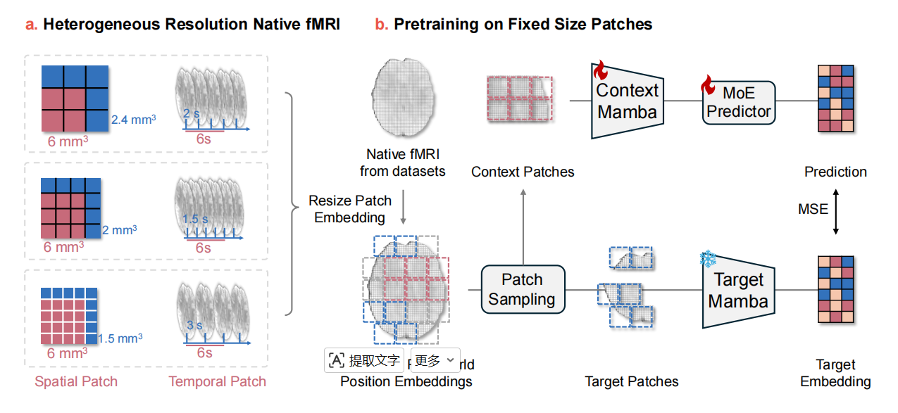 FlexiBrain resolution-agnostic fMRI encoding architecture