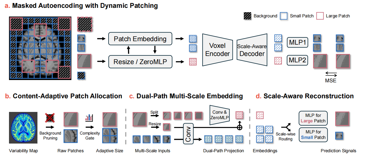 Omni-fMRI dynamic patching and pretraining framework