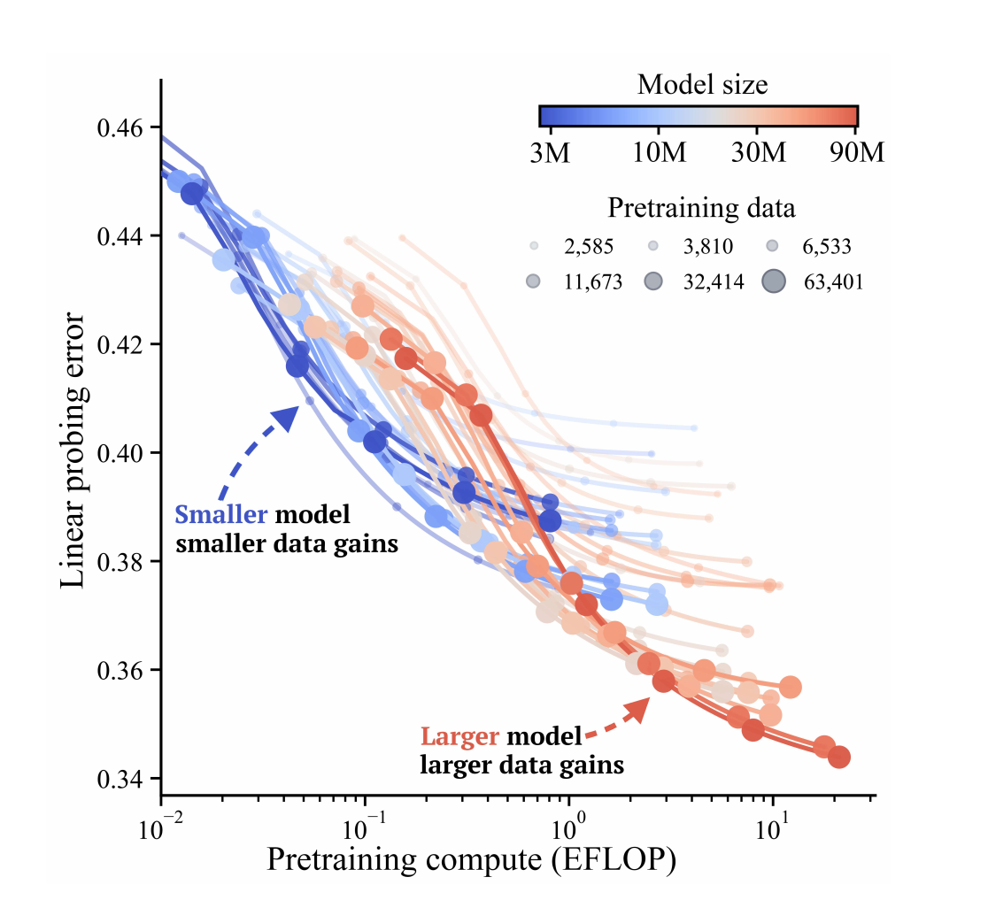 Overview of the scaling study for fMRI foundation models